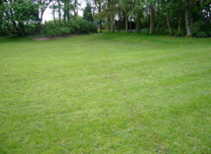 lawn with duct