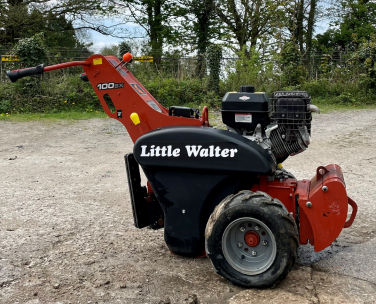 Little Walter Ditch Witch 1683282667